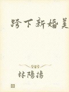 跨下新婚美妇封面