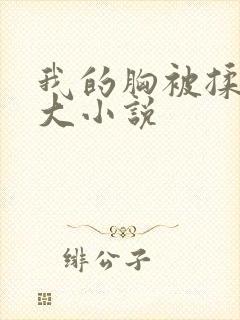 我的胸被揉的好大小说