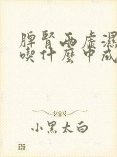 脾肾两虚湿气重吃什么中成药调理