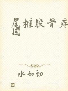 尾椎股骨疼痛原因