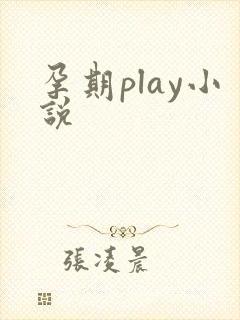孕期play小说