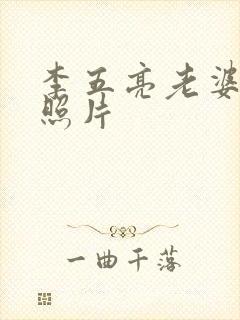 李五亮老婆高磊照片