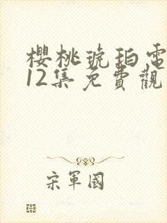 樱桃琥珀电视剧12集免费观看