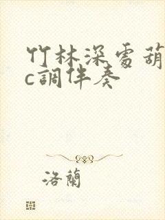 竹林深处葫芦丝c调伴奏封面