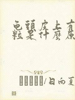 龟头皮上有小肉粒是什么原因封面