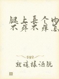 腿上长个肉疙瘩不疼不痒怎么回事