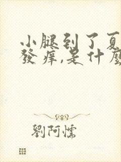 小腿到了夏天就发痒,是什么原因?