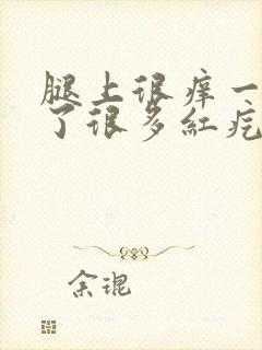 腿上很痒一抓出了很多红疙瘩