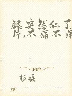 腿突然红了一大片,不痛不痒封面