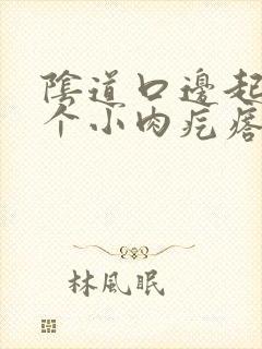 阴道口边起了一个小肉疙瘩