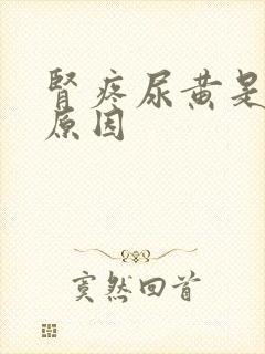 肾疼尿黄是什么原因封面