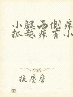 小腿两侧痒痒越抓越痒有小红疙瘩