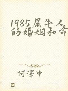 1985属牛人的婚姻和命运