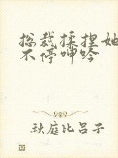 总裁揉捏她两乳不停呻吟