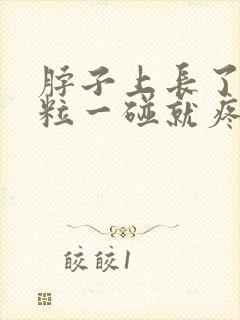 脖子上长了小肉粒一碰就疼