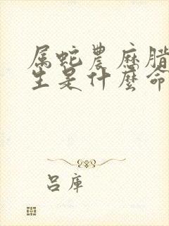 属蛇农历腊月出生是什么命