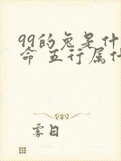 99的兔是什么命 五行属什么封面