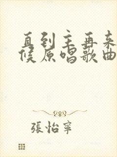 直到主再来的时候原唱歌曲封面