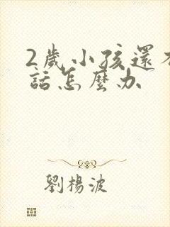 2岁小孩还不说话怎么办封面