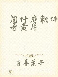 用什么软件免费看黄片