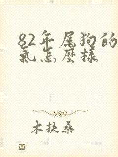 82年属狗的运气怎么样