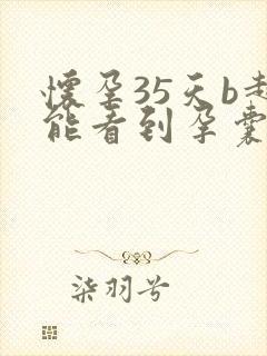 怀孕35天b超能看到孕囊吗封面