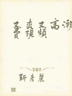 又爽又高潮的免费视频