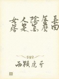 女人阴唇长疙疣瘩是怎么回事