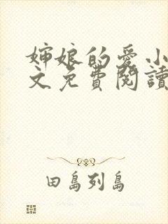 婶娘的爱小说全文免费阅读