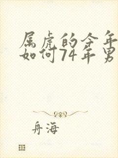 属虎的今年命运如何74年男