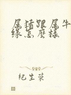 属猪跟属牛的姻缘怎么样封面