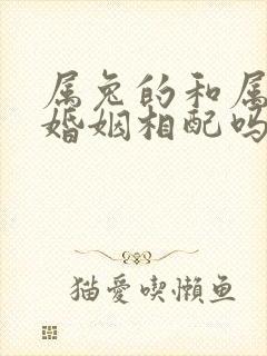 属兔的和属羊的婚姻相配吗