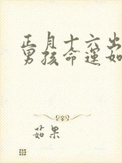 正月十六出生的男孩命运如何封面