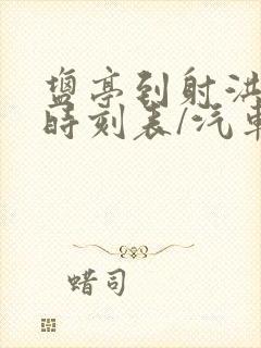 盐亭到射洪汽车时刻表/汽车票查询封面