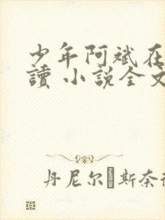 少年阿斌在线阅读 小说全文免费封面