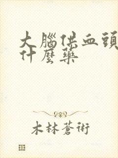 大脑供血头晕吃什么药