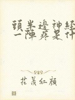 头半边神经一阵一阵疼是什么病封面