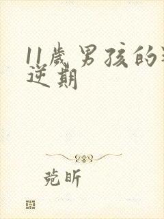 11岁男孩的叛逆期