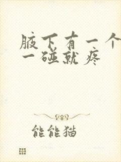 腋下有一个疙瘩一碰就疼