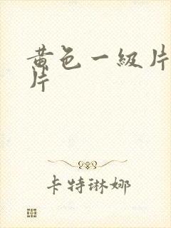 黄色一级片久久片