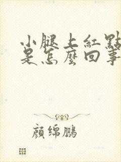 小腿上红点点痒是怎么回事