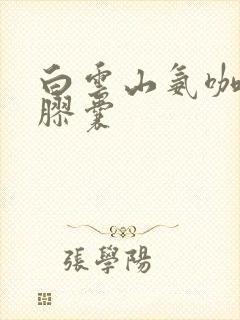 白云山氨咖黄敏胶囊