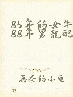 85年的女牛跟88年男龙配婚吗