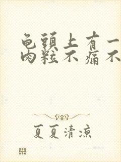 龟头上有一圈小肉粒不痛不痒