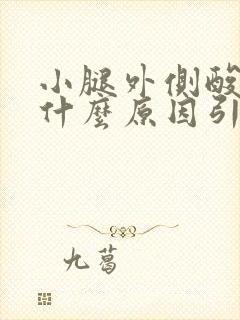 小腿外侧酸胀是什么原因引起的封面