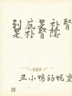 到底是补肾阳还是补肾阴