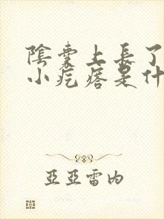 阴囊上长了黑色小疙瘩是什么原因