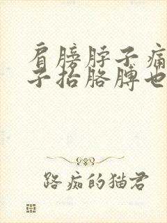 肩膀脖子痛伸脖子抬胳膊也疼封面