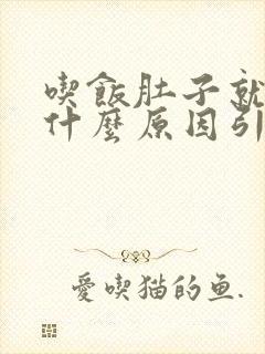 吃饭肚子就疼是什么原因引起的