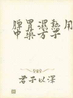 脾胃湿热用什么中药方子